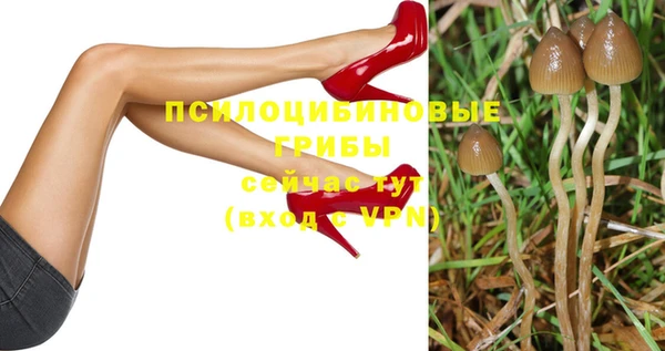 сатива Грязи