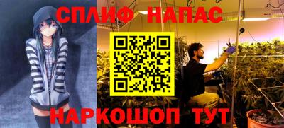 spice Нарткала