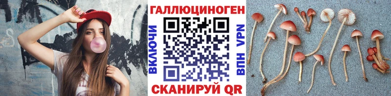 Галлюциногенные грибы Cubensis  KRAKEN tor  Азов  сколько стоит 