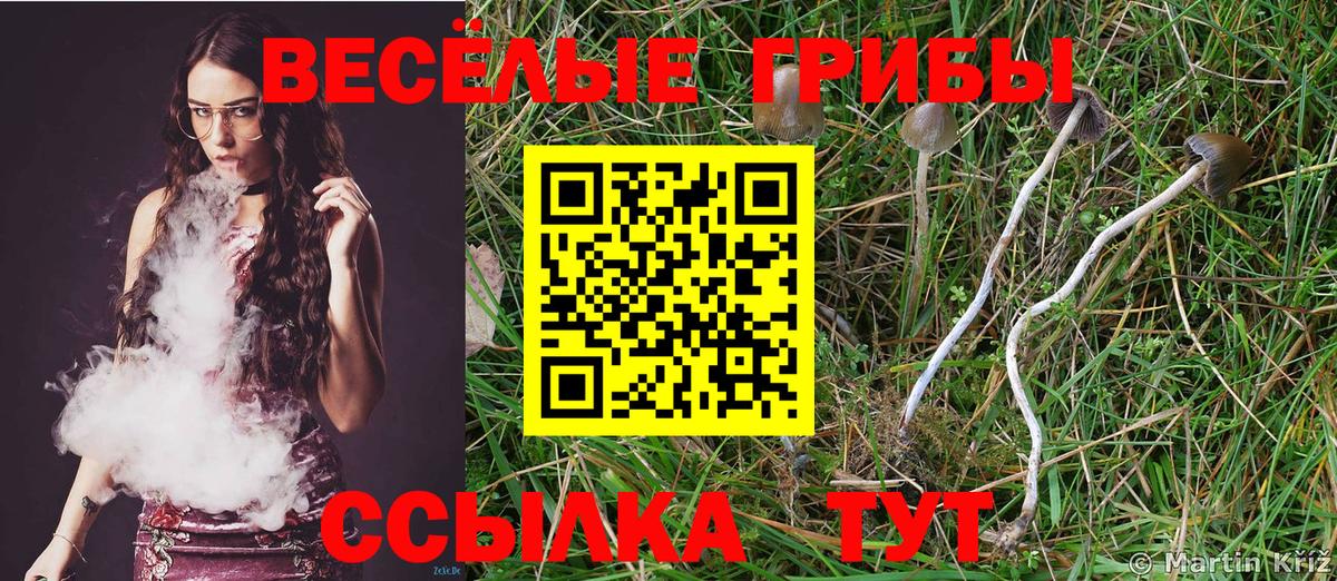 Галлюциногенные грибы прущие грибы  Вход с VPN  Азов 